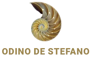 Maître d’œuvre Martillac Odino de Stefano